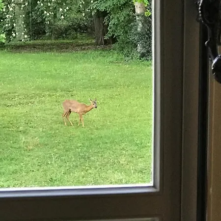 Willa Chateau De La Coudraie Et La Petite Coudraie