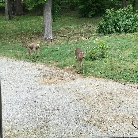 Chateau De La Coudraie Et La Petite Coudraie فيلة *