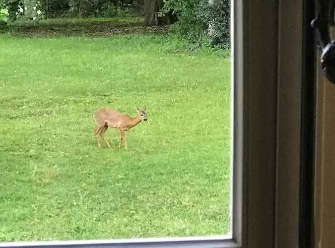 Βίλα Chateau De La Coudraie Et La Petite Coudraie