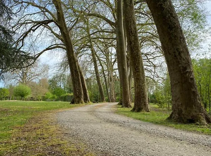 Chateau De La Coudraie Et La Petite Coudraie Βίλα *