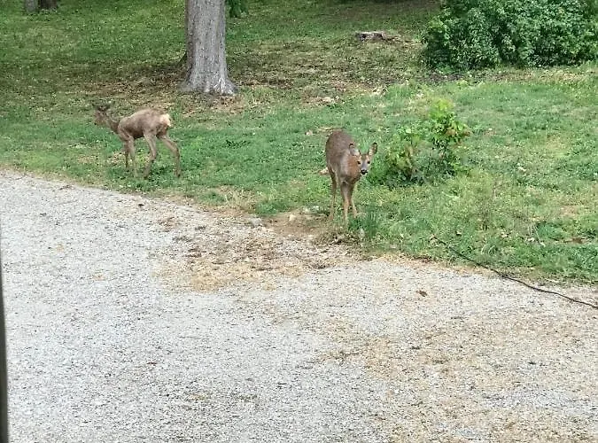 Chateau De La Coudraie Et La Petite Coudraie Βίλα *
